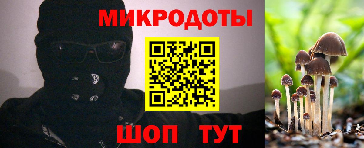 Каменск-Шахтинский  Псилоцибиновые грибы Psilocybine cubensis  Вход с VPN 